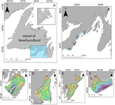 Spatial distribution of benthic flora and fauna of coastal placentia bay, an ecologically and biologically significant area of the island of newfoundland, atlantic Canada